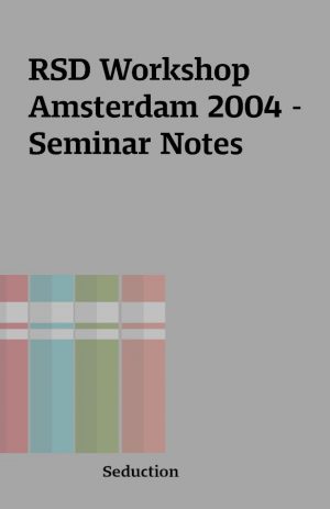 RSD Workshop Amsterdam 2004 – Seminar Notes