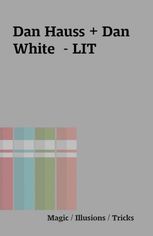 Dan Hauss + Dan White  – LIT