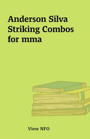 Anderson Silva Striking Combos for mma