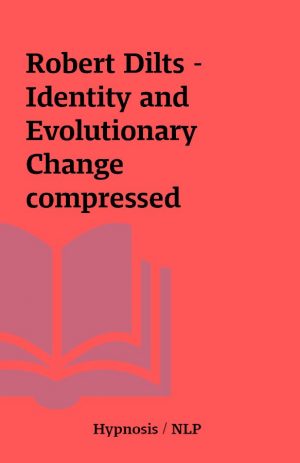 Robert Dilts – Identity and Evolutionary Change compressed