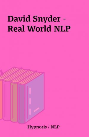 David Snyder – Real World NLP