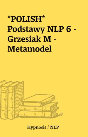 *POLISH* Podstawy NLP 6 – Grzesiak M – Metamodel